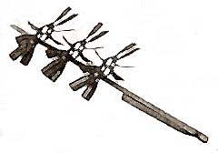 [ RADIANT (12) - KET-01027 - Fry ]