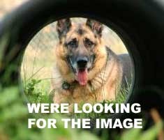 [ CARRIAGE (W/LEVER) - HOB-01034 ]