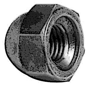 [ NUT, ACORNANN - HMB-01168 - 91 ]