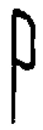 [ PIN, LINK (LEG BRACE) - SIL-01 ]